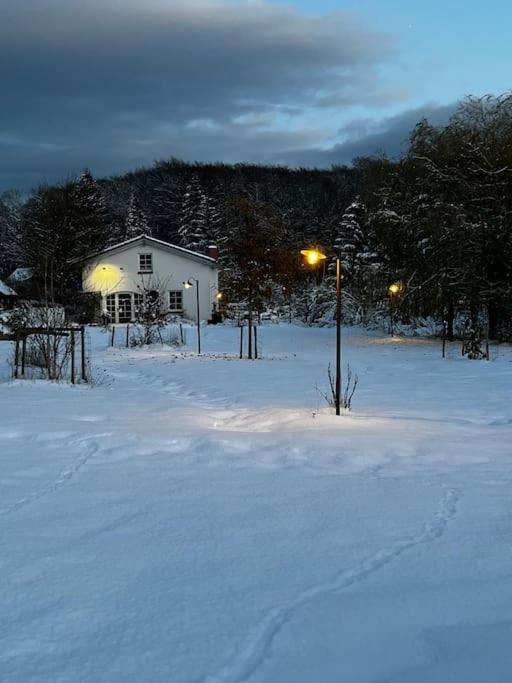 Landhaus „Blattgold“ Lohme Buitenkant foto